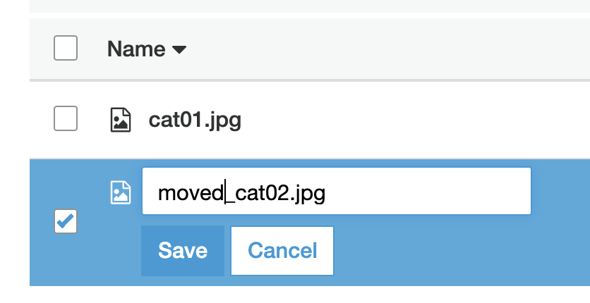cat02.jpgをリネーム