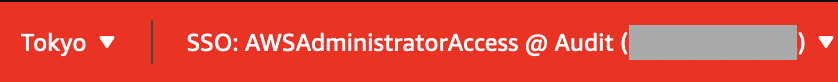 Extension for AWS SSO